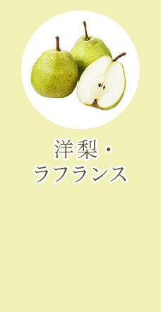 洋梨・ラフランス