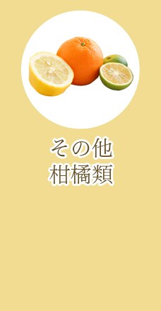 その他柑橘
