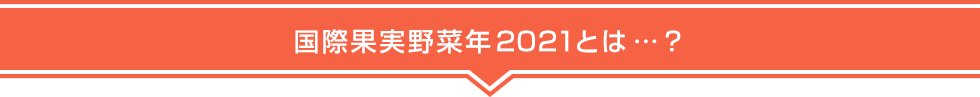 国際果実野菜年とは