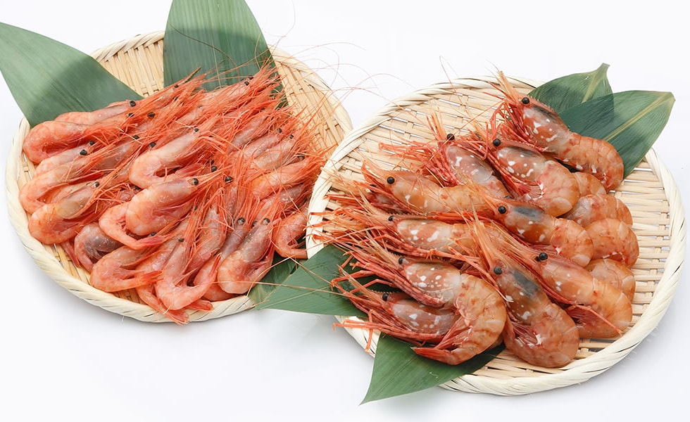 【北海道産】大ぶり牡丹海老 イメージ