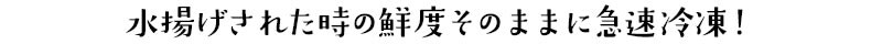 水揚げされた時の鮮度そのままに急速冷凍！