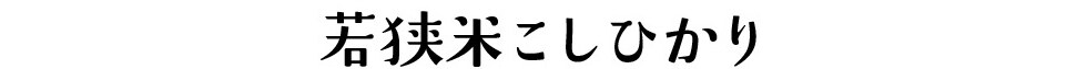 若狭米こしひかり