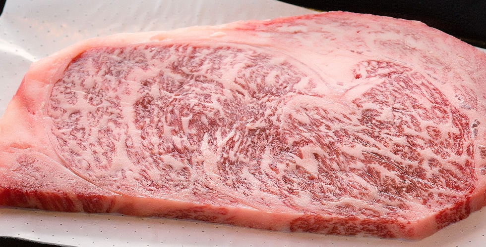白老牛 イメージ