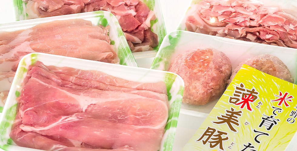 諫美豚 イメージ