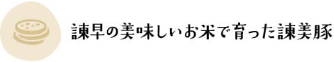 諫早の美味しいお米で育った諫美豚
