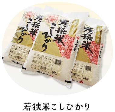 若狭米こしひかり