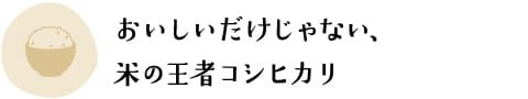 おいしいだけじゃない、米の王者コシヒカリ