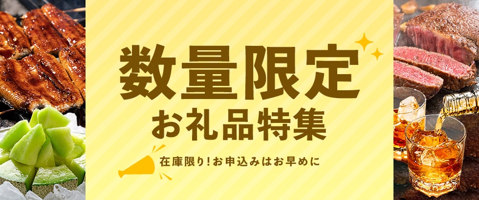 在庫限り！数量限定お礼品特集