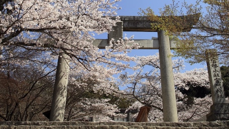 宝満宮竈門神社