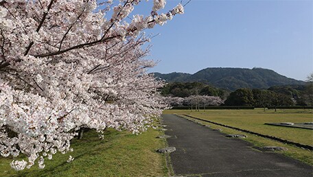 大宰府政庁跡