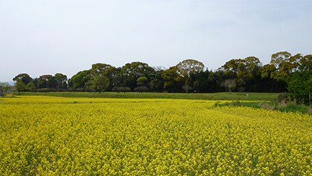水城跡