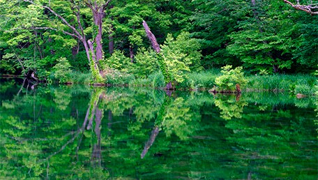 鳥沼公園