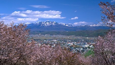 朝日ヶ丘公園