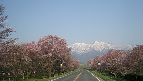 東大演習林樹木園