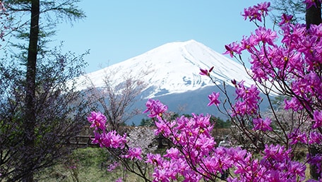 河口湖創造の森