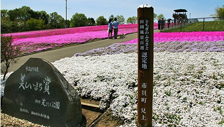 市貝町芝ざくら公園