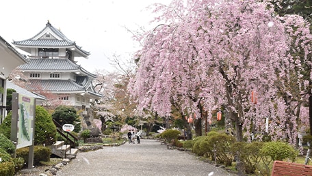 三戸城跡城山公園