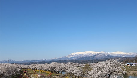 しばた千桜橋