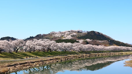 さくら歩道橋