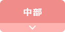 中部