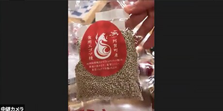エゴマ