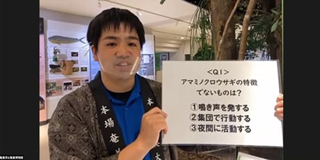 アマミノクロウサギに関するクイズ