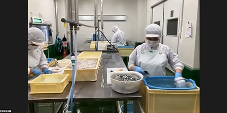 フカヒレ工場