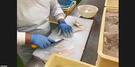 職人さんが一つ一つ手作業で皮や骨を取っている様子
