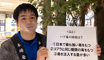 鹿児島県奄美市 奄美博物館のクイズの様子
