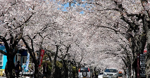 静岡県伊東市「伊豆高原」