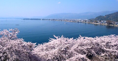 滋賀県高島市「海津大崎」