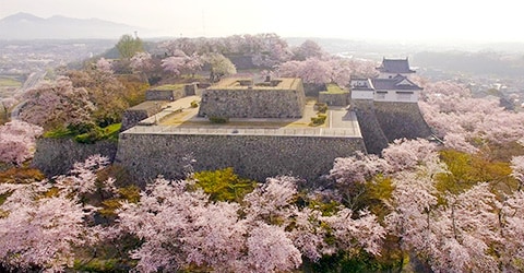 岡山県津山市「津山城(鶴山公園)」