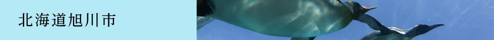 北海道旭川市