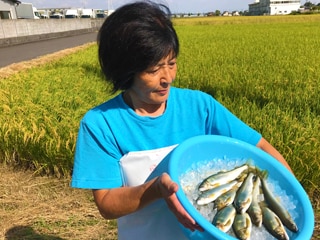 高田水産