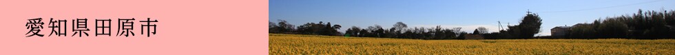 愛知県田原市