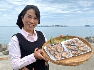 岬だより