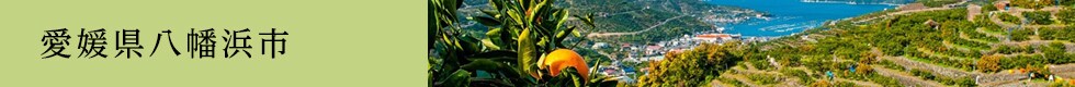 愛媛県八幡浜市