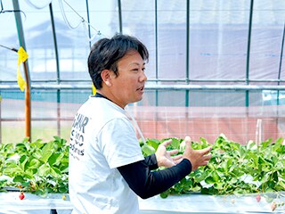 南国フルーツ株式会社