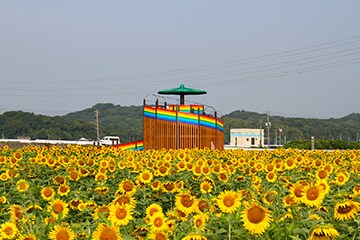 福岡県大任町