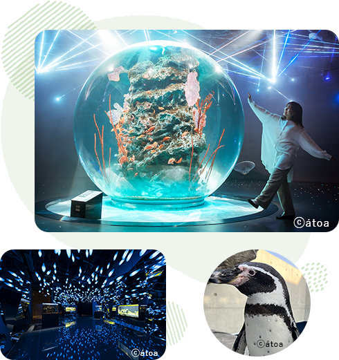 AQUARIUM × ART átoaの写真