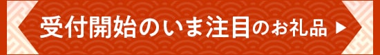 受付開始のいま注目のお礼品