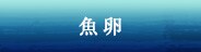 魚卵