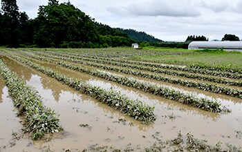 山形県村山市2