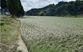 山形県新庄市2
