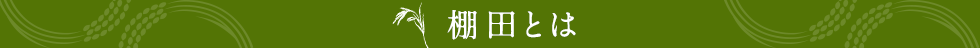 棚田とは