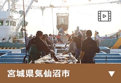 宮城県気仙沼市