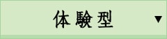 体験型