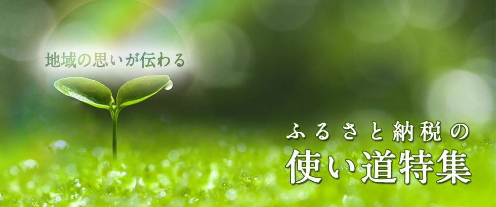 ふるさと納税の使い道特集