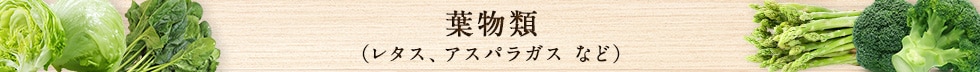葉物類（レタス、アスパラガス など）