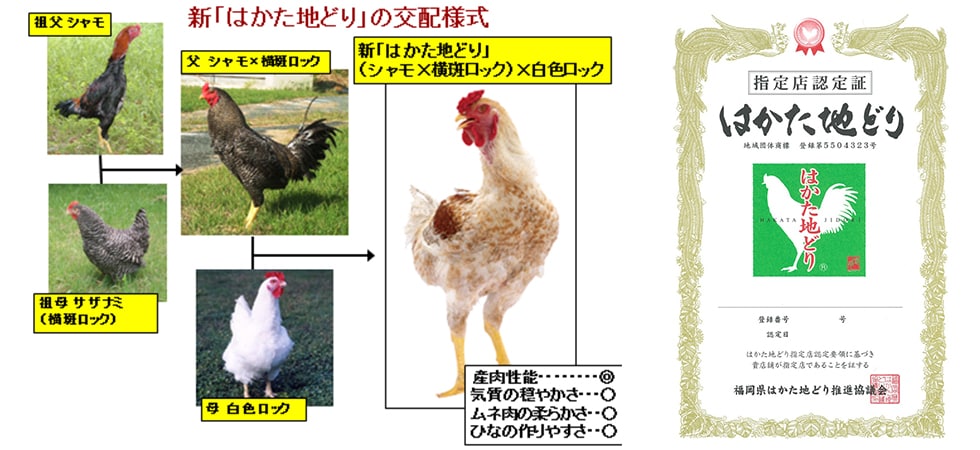 地域団体商標出願の準備